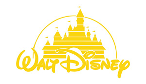 上海迪斯尼-中科博汇客户