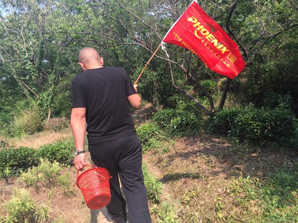 中科博汇员工团建之西山一日游-领队